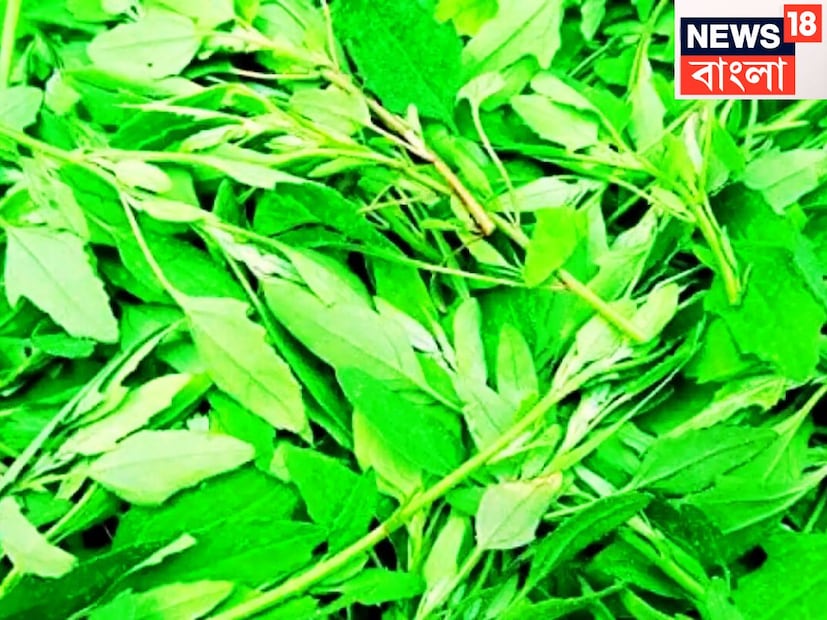 Disclaimer: উপরোক্ত বিষয়গুলি ঘরোয়া টোটকা কোনও চিকিৎসা ওষুধের বিকল্প নয়, ব্যবহারিক প্রয়োগের আগে চিকিৎসকের পরামর্শ আবশ্যিক ৷ প্রতীকী ছবি ৷