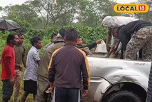Baby Elephant: চা বাগানে দু'টি হাতির লড়াই, সংঘর্ষের মাঝে পড়ে ছোট্ট শাবকের মৃত্যু! দেহ উদ্ধার হতেই চাঞ্চল্য এলাকায়