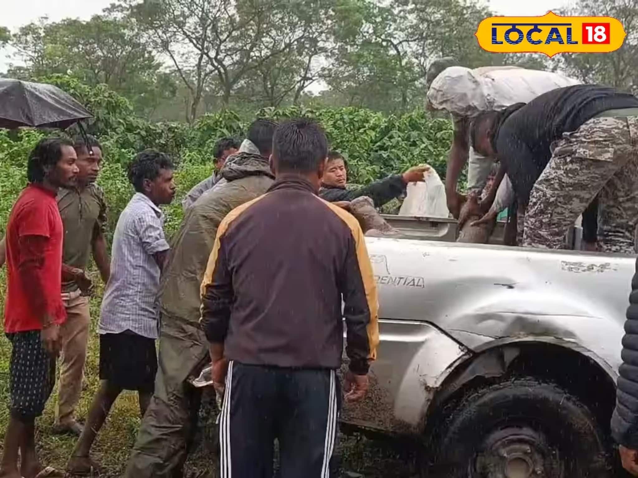 চা বাগানে দু'টি হাতির লড়াই, সংঘর্ষের মাঝে পড়ে ছোট্ট শাবকের মৃত্যু!