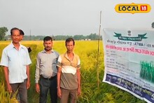 Farming Tips: ধান চাষে নতুন আশার আলো! বাদশাভোগ ফলিয়ে লাভবান এগরার চাষিরা, সুগন্ধে ম ম করছে গ্রামবাংলা