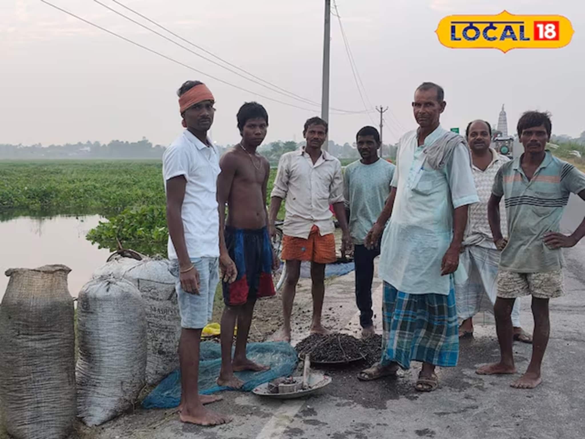 Money Making Ideas: কালো সোনা জীবন বদলে দিল, ৫০,০০০ টাকা খরচ করে ৩ লাখ টাকা আয়, কৃষকের সাফল্যের গল্প জানুন