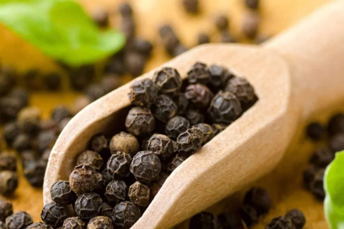 বাজারে বিকোচ্ছে নকল গোলমরিচ, কীভাবে বুঝবেন আপনার কেনা গোলমরিচ-ও নকল নয়তো? রইল কৌশল