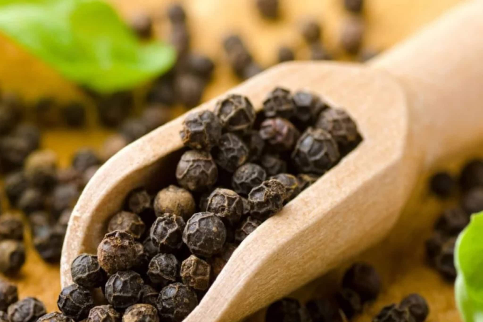 বাজারে বিকোচ্ছে নকল গোলমরিচ, কীভাবে বুঝবেন আপনার কেনা গোলমরিচ-ও নকল নয়তো? রইল কৌশল