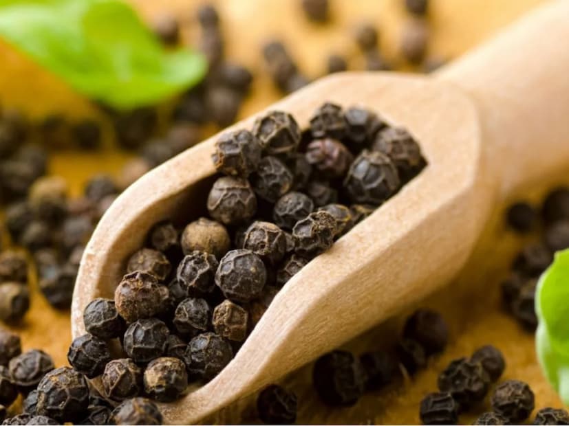 ফসল কখন প্রস্তুত: গোলমরিচ গাছে সাধারণত ২ থেকে ৩ বছরের মধ্যে ফসল ধরতে শুরু করে। যখন বীজ সবুজ থেকে হলুদ বা লাল হয়ে যায়, তখন সেগুলো সংগ্রহের জন্য প্রস্তুত বলা যায়। এটি শুকিয়ে সংরক্ষণ করে রাখতে হয়।এভাবে সামান্য যত্ন এবং সঠিক তাপমাত্রায় শীতকালে সহজেই বাড়িতে গোলমরিচ চাষ করা যেতে পারে। এটি কেবল রান্নাঘরকে খাঁটি মশলার সুবাসে ভরিয়ে দেবে না, বরং একটি সুন্দর বাগানও প্রদান করবে। (Disclaimer: প্রতিবেদনের লেখা তথ্য News18 বাংলার নিজস্ব মত নয় ৷ সঠিক ফল পাওয়ার জন্য বিশেষজ্ঞের সঙ্গে যোগাযোগ করুন ৷ )