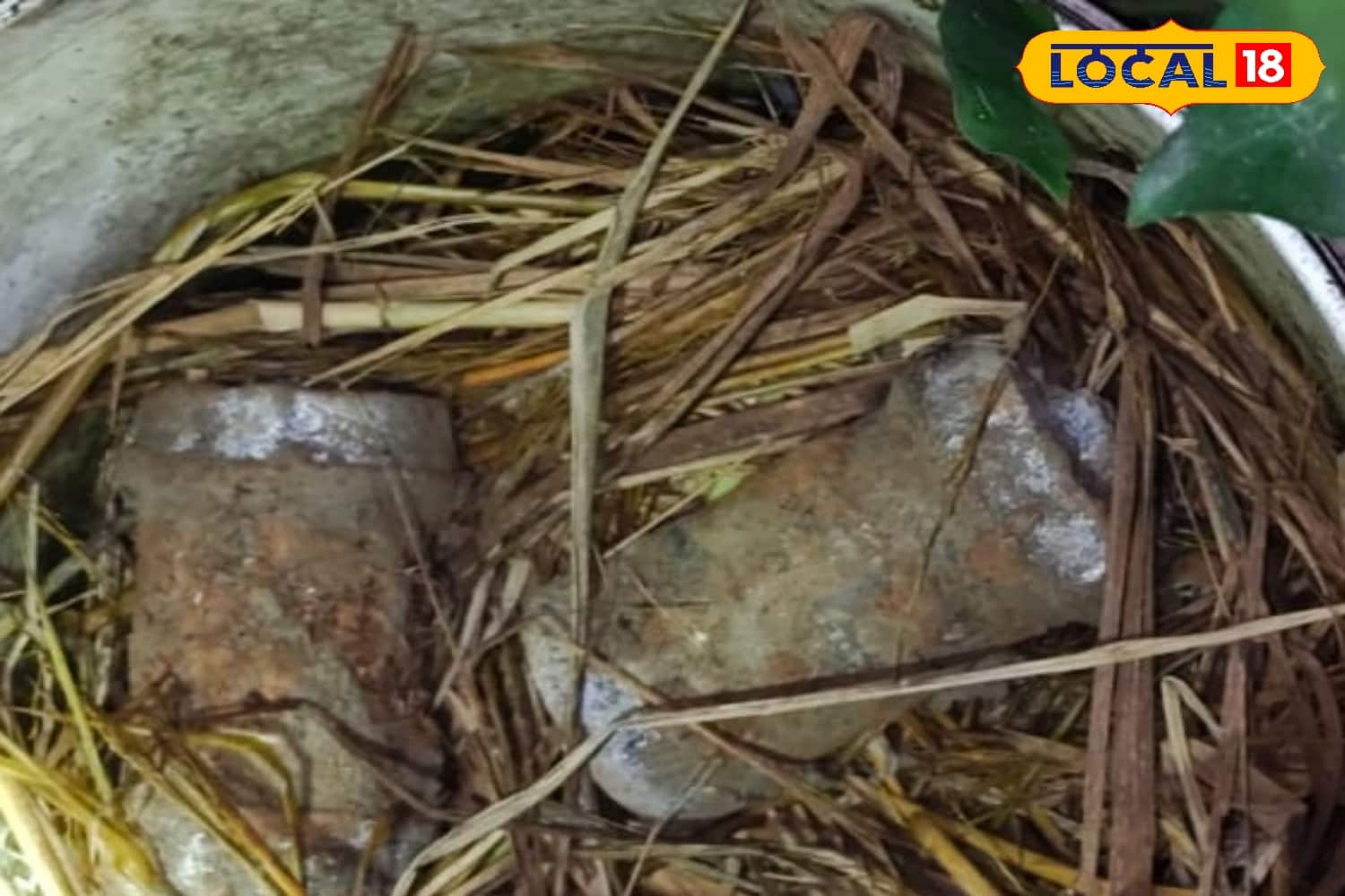 উদ্ধার হওয়া তাজা বোমা 