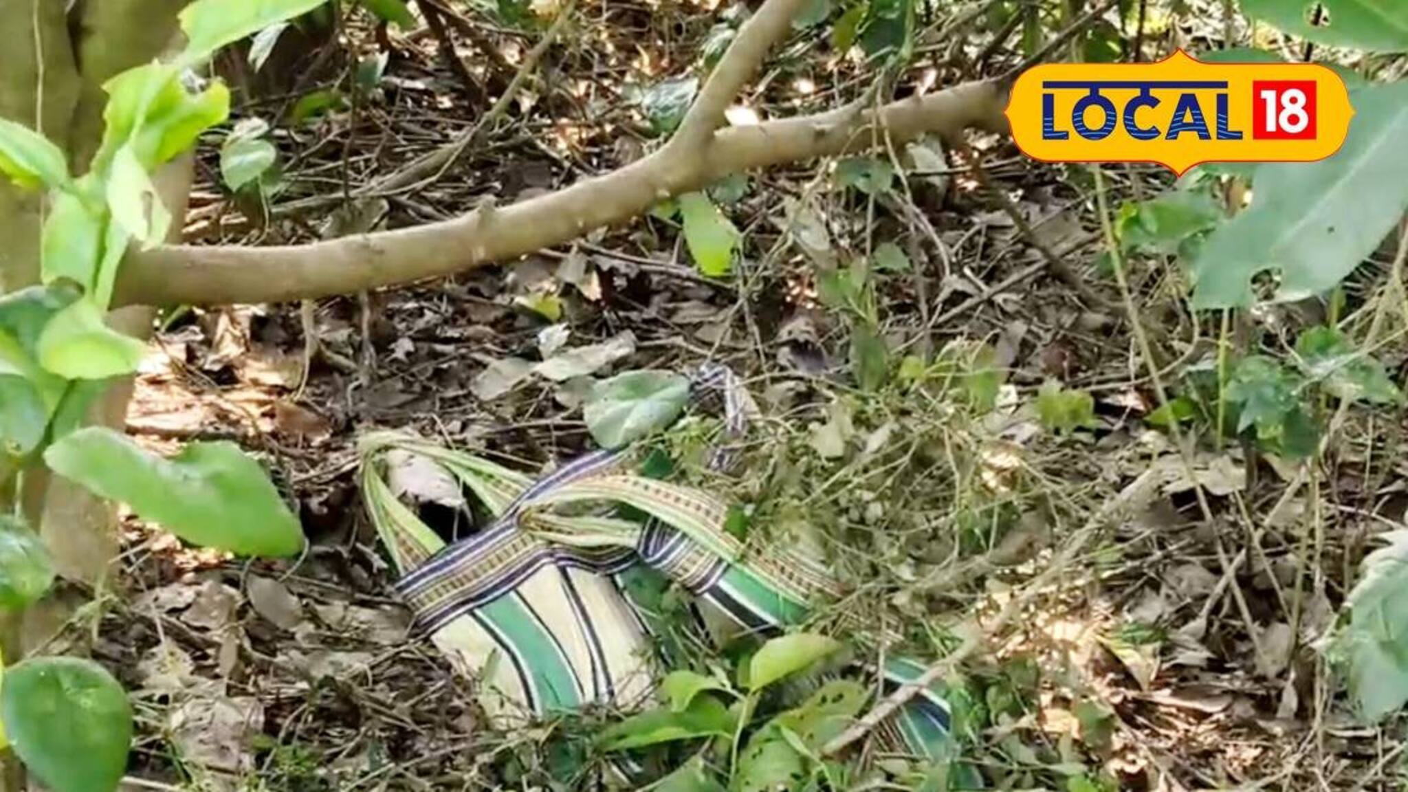 চাষের জমি থেকে ব্যাগ ভর্তি তাজা বোমা উদ্ধার! তীব্র চাঞ্চল্য এলাকায়