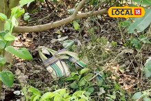 চাষের জমি থেকে ব্যাগ ভর্তি তাজা বোমা উদ্ধার! তীব্র চাঞ্চল্য এলাকায়