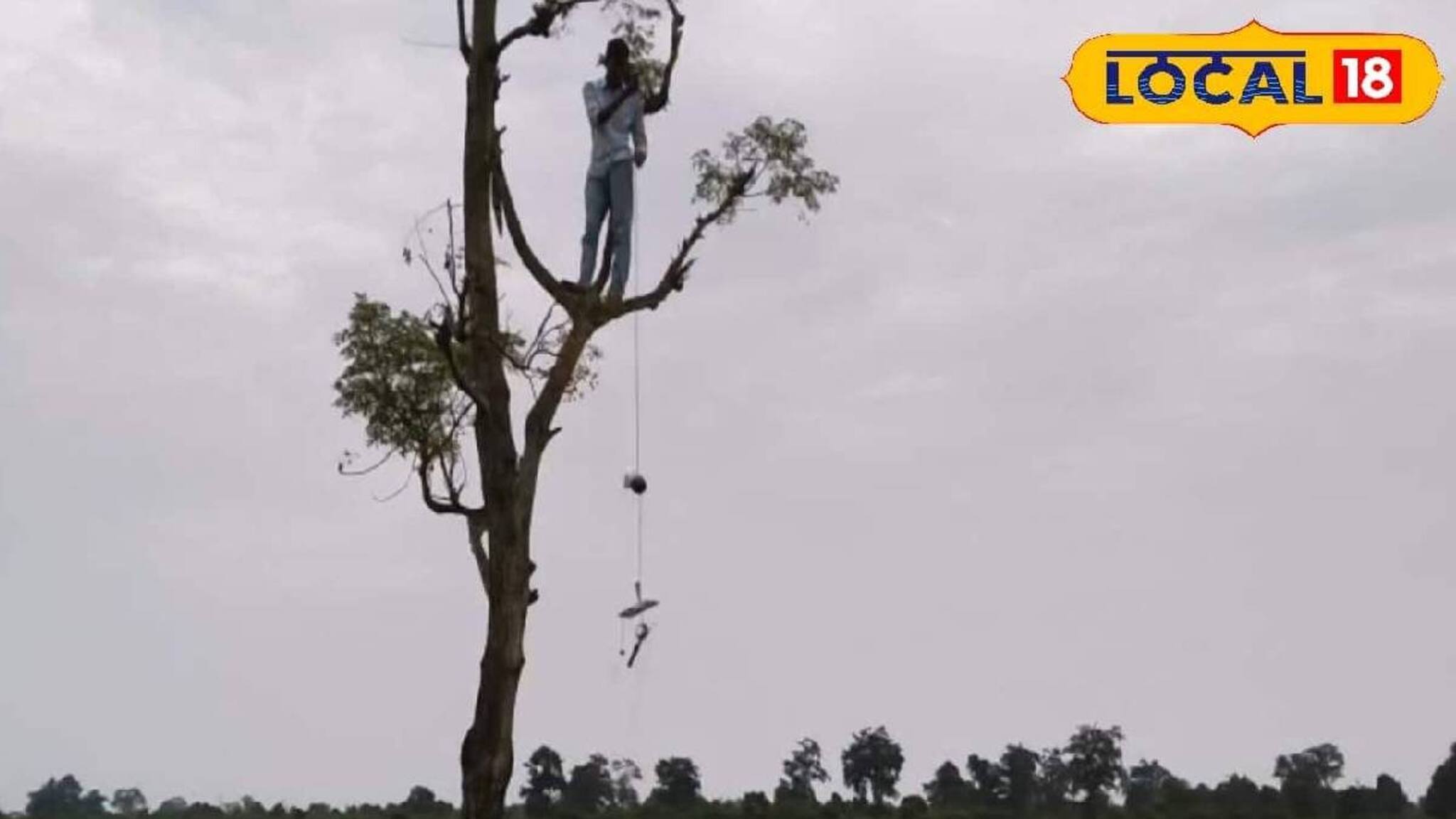 সাধারণ মানুষের ভোগান্তি অতীত! মানুষ-হাতি সংঘাত রুখতে আলিপুরদুয়ারে দারুণ উদ্যোগ