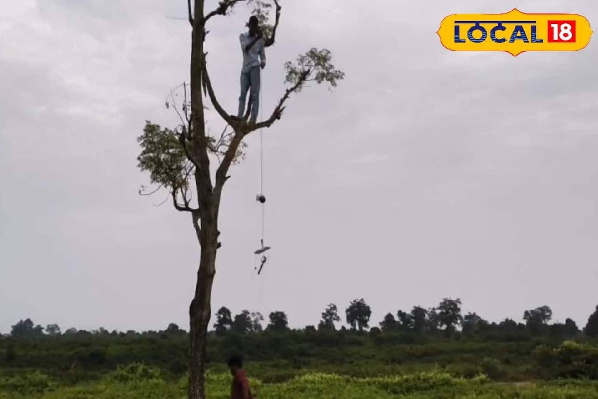 Jaldapara: সাধারণ মানুষের ভোগান্তি অতীত! মানুষ-হাতি সংঘাত রুখতে আলিপুরদুয়ারে দারুণ উদ্যোগ, কাজ শুরু করে দিল বনবিভাগ