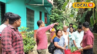 হাওড়ায় গাঁজা গাছ নিধন অভিযান