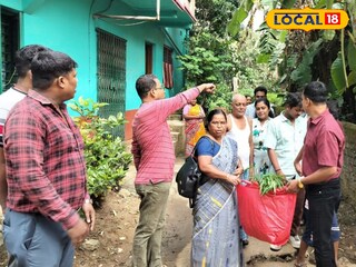 হাওড়ায় গাঁজা গাছ নিধন অভিযান হাওড়ায় গাঁজা গাছ নিধন অভিযান