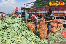 বর্ধমানের শীতকালীন 'এই' সবজি পাড়ি দিচ্ছে ঝাড়খণ্ড, বিহার, ওড়িশা! ভুরি ভুরি টাকার মুখ দেখছেন চাষিরা, অথচ শীতের শেষে ঠাঁই গরুর পেটে