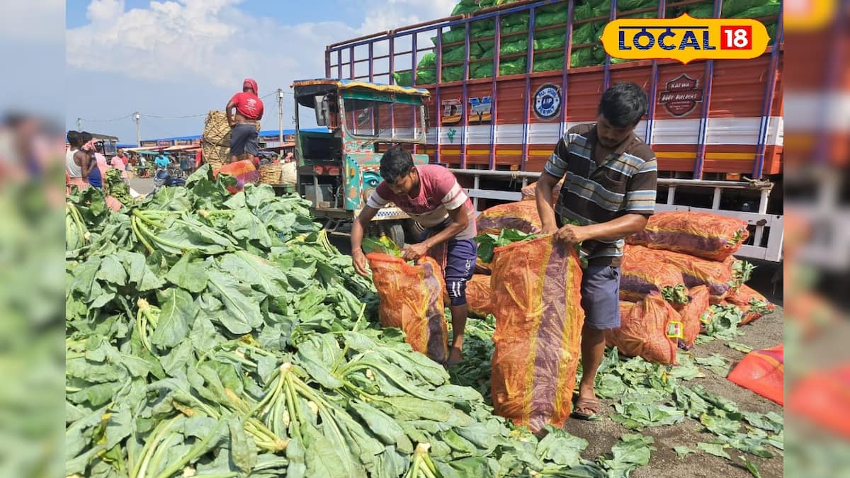 বর্ধমানের শীতের সবজি ঝাড়খণ্ড, বিহার, ওড়িশা ছাড়িয়ে যাচ্ছে! কৃষকরা মোটা টাকার আশা করলেও শীত শেষে সবই গরুর পেটে