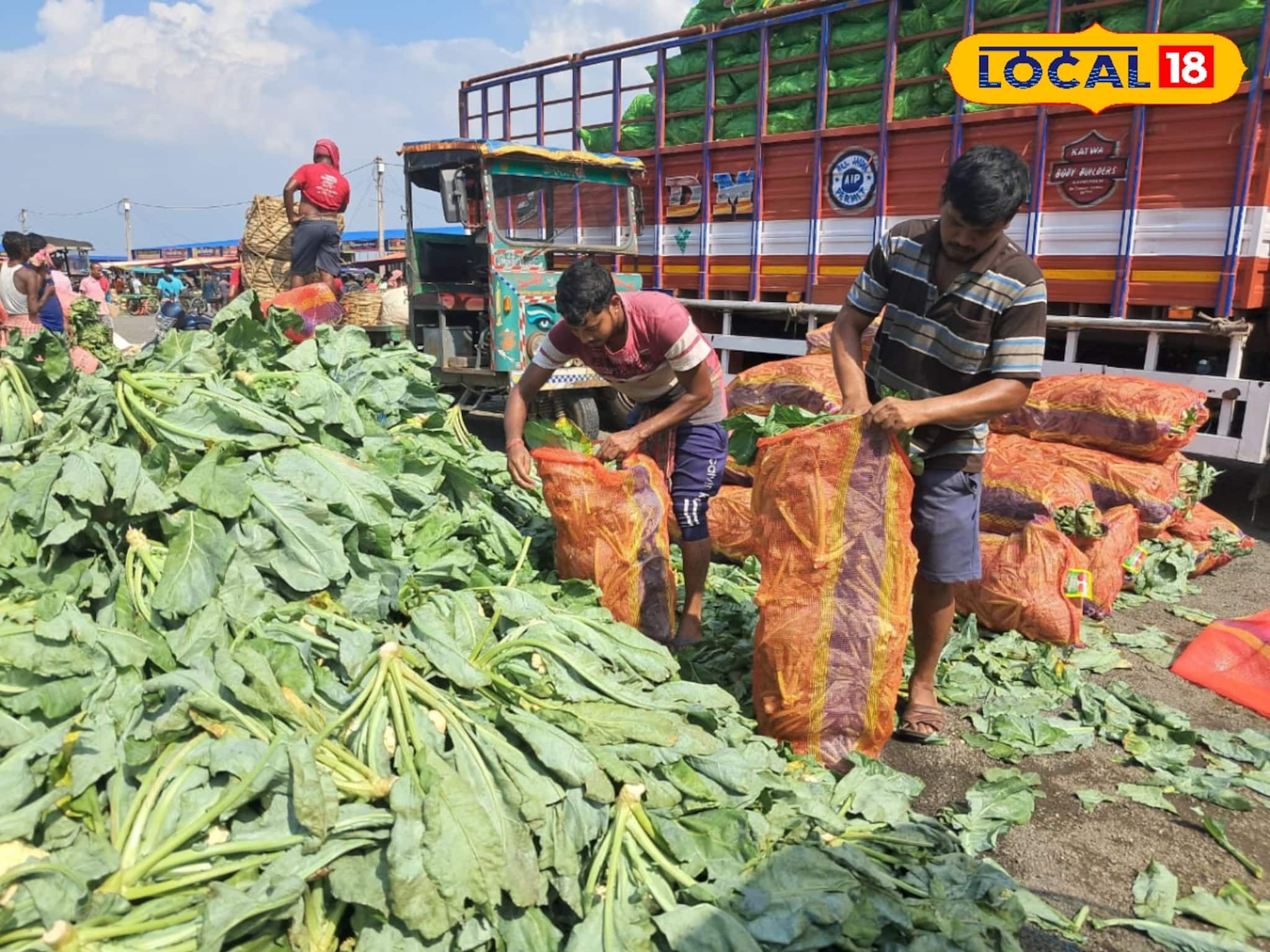 শীতকালীন 'এই' সবজি পাড়ি দিচ্ছে ঝাড়খণ্ড, বিহার, ওড়িশা! ভুরি ভুরি আয় চাষিদের