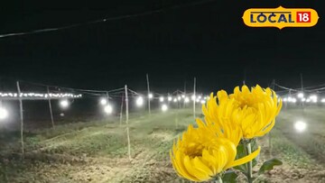 বৈজ্ঞানিক