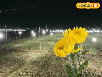 বৈজ্ঞানিক