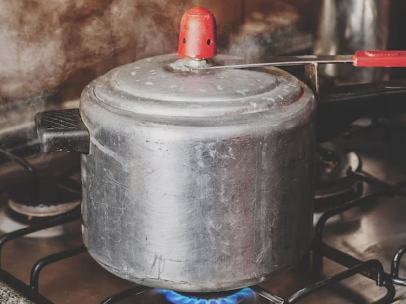 অ্যালুমিনিয়াম কুকার সাধারণ পাত্রের তুলনায় খাবারে একটু বেশি পরিমাণে সীসা ছাড়তে পারে। ২০২২ সালের গবেষণায় আমেরিকায় আফগান শরণার্থী পরিবারগুলির দ্বারা ব্যবহৃত অ্যালুমিনিয়াম এবং পিতলের পাত্রে সীসা বিপজ্জনকভাবে বেশি পাওয়া গিয়েছে। অ্যালুমিনিয়াম কুকার সাধারণ পাত্রের তুলনায় খাবারে একটু বেশি পরিমাণে সীসা ছাড়তে পারে। ২০২২ সালের গবেষণায় আমেরিকায় আফগান শরণার্থী পরিবারগুলির দ্বারা ব্যবহৃত অ্যালুমিনিয়াম এবং পিতলের পাত্রে সীসা বিপজ্জনকভাবে বেশি পাওয়া গিয়েছে। 