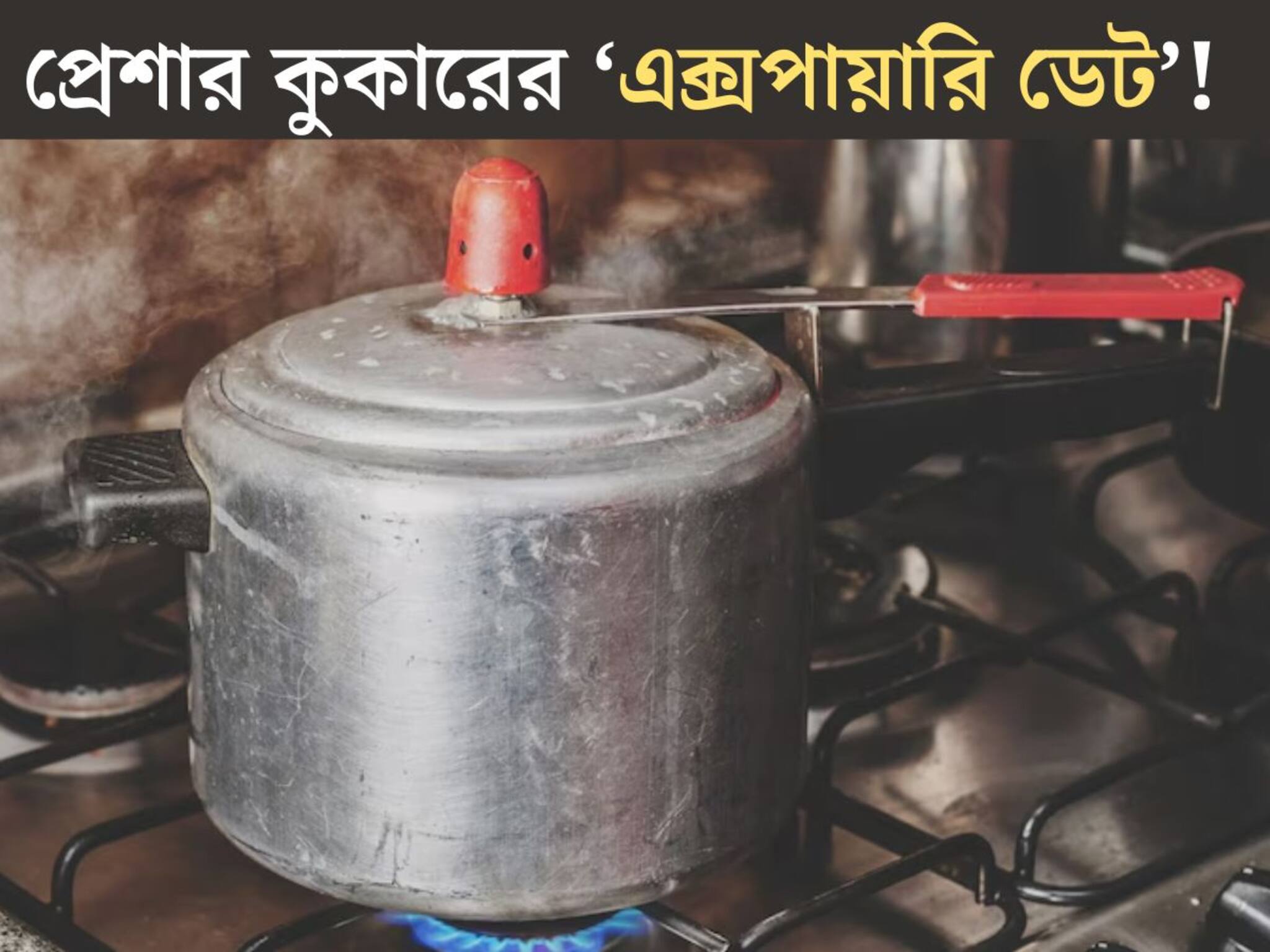 Pressure Cooker: খাবারে মিশতে পারে বিষাক্ত সীসা! প্রেশার কুকারেরও আছে এক্সপায়ারি ডেট, সিটি আলগা...৩ লক্ষণ দেখলে এখনই বদলে ফেলুন, পরামর্শ বিশেষজ্ঞের