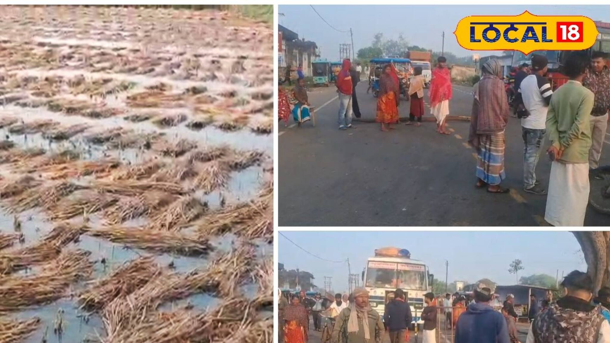 জাইকা প্রকল্পের পাইপলাইনের জলে পাকা ধানে পচন! প্রতিবাদে পথ অবরোধ চাষিদের
