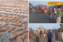 Purulia: জাইকা প্রকল্পের পাইপলাইনের জলে পাকা ধানে পচন! প্রতিবাদে পথ অবরোধ চাষিদের, ছুটে এলেন আধিকারিকেরা