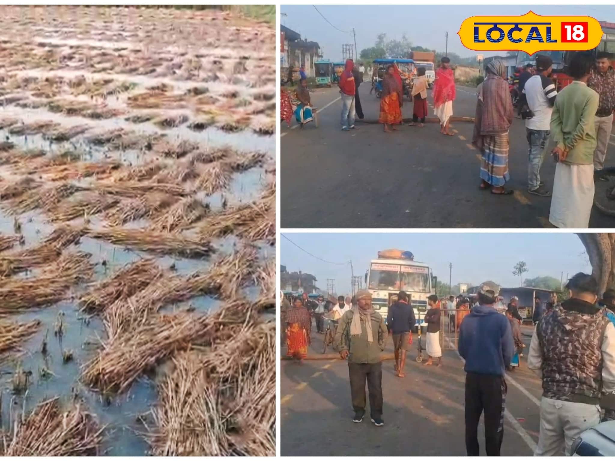 জাইকা প্রকল্পের পাইপলাইনের জলে পাকা ধানে পচন! প্রতিবাদে পথ অবরোধ চাষিদের