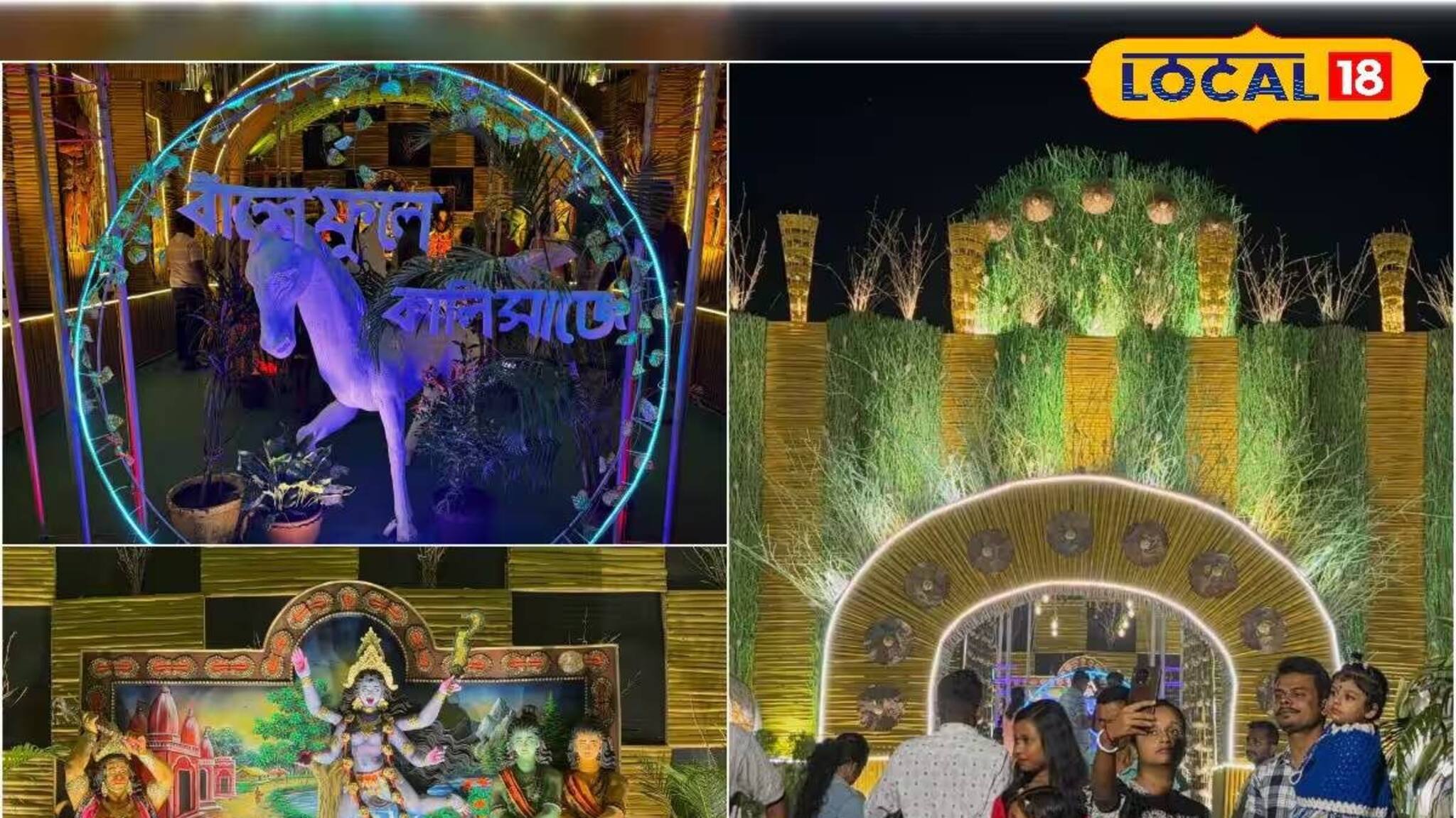রাস উৎসবে পরিবেশ সচেতনতার বার্তা! ‘বাঁশে ফুলে কালী সাজে’ থিমে নজর কাড়ছে দাঁইহাটের ক্লাব