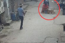 ৬ বছরের শিশুর কান কামড়ে ছিঁড়ে নিল ভয়ঙ্কর পিটবুল! থানা পর্যন্ত গড়াল মামলা...