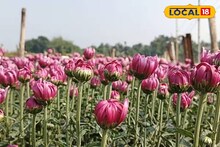 ফুল চাষিদের পোয়া বারো! চালু হচ্ছে রাজ্যের একমাত্র ফুল রাখার হিমঘর