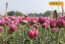 East Medinipur News: ফুল চাষিদের পোয়া বারো! চালু হচ্ছে রাজ্যের একমাত্র ফুল রাখার হিমঘর, নামমাত্র খরচে ফুল রেখে বাড়বে লাভের পরিমাণ