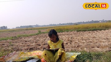 নিকিতার