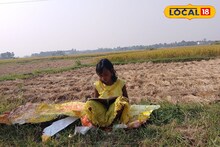 ধানক্ষেতই এখন তার ক্লাসরুম! ডাক্তার হওয়ার সোনালি স্বপ্নে চিকচিক করছে ছোট্ট নিকিতার দু'চোখ