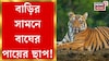 কোথাও বাড়ির সামনে বাঘের পায়ের ছাপ, স্থানীয়দের মনে তৈরি হচ্ছে লাগাতার আতঙ্ক
