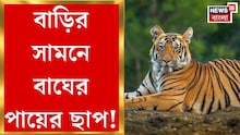 কোথাও বাড়ির সামনে বাঘের পায়ের ছাপ, স্থানীয়দের মনে তৈরি হচ্ছে লাগাতার আতঙ্ক