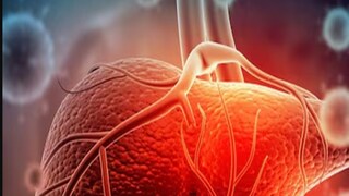 প্রতীকী ছবি৷ 