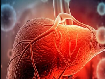 প্রতীকী ছবি৷ প্রতীকী ছবি৷