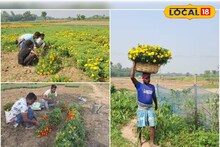 ভিনরাজ্যে পাড়ি দিচ্ছে পূর্বস্থলীর ফুল, তবুও হচ্ছে না বিশেষ লাভ! চাষিদের মুখের হাসি উধাও