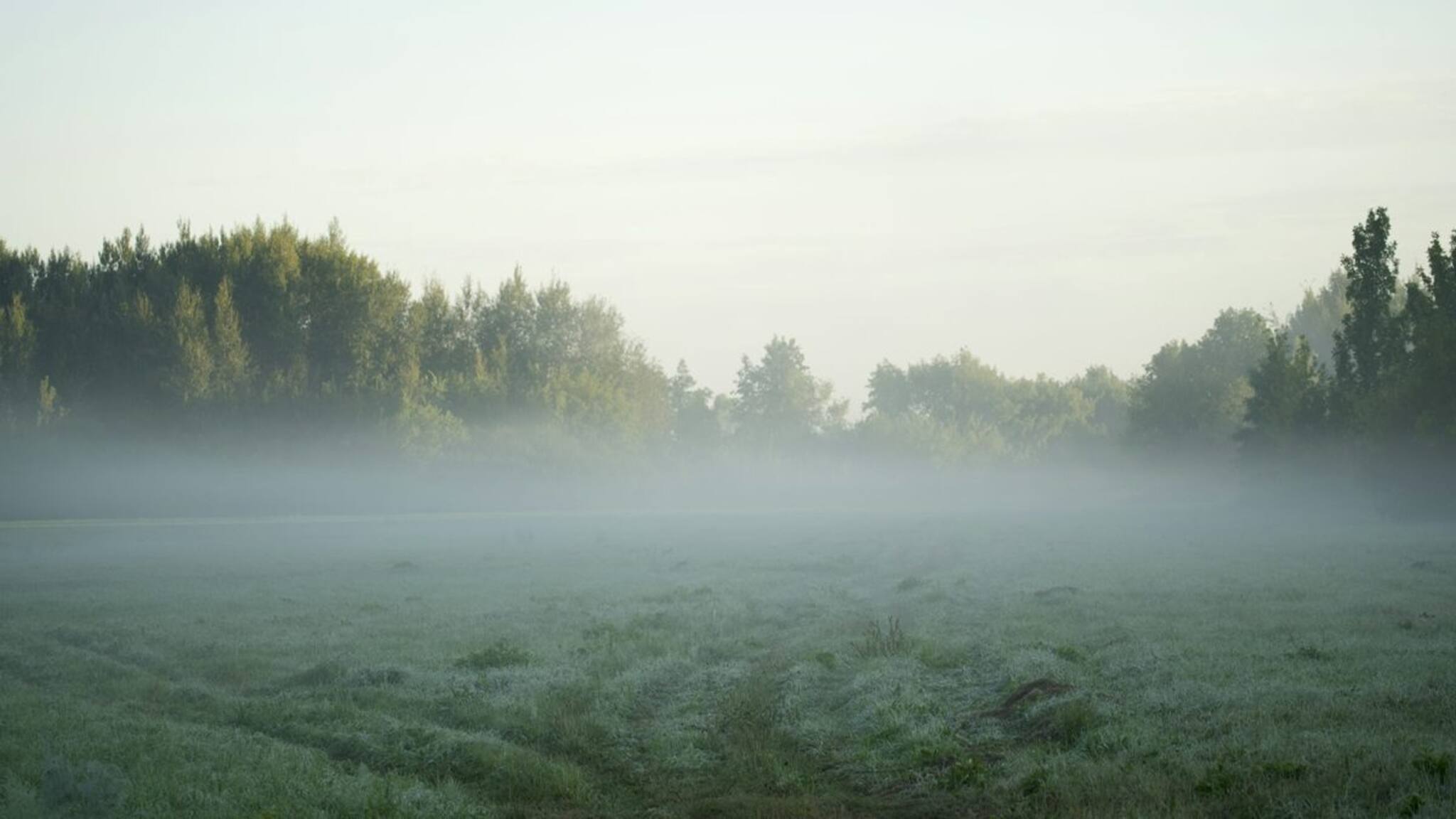 বঙ্গোপসাগরে ফের সাইক্লোনের অশনি! কুয়াশার ঘন চাদর, দক্ষিণবঙ্গে হঠাৎ করেই তাপমাত্রার পতন