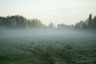 বঙ্গোপসাগরে ফের সাইক্লোনের অশনি! কুয়াশার ঘন চাদর, দক্ষিণবঙ্গে হঠাৎ করেই তাপমাত্রার পতন