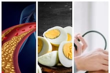 Egg in High Blood Pressure & Cholesterol: কুসুমসমেত ডিম খেলে হুড়মুড়িয়ে বাড়ে ব্লাড প্রেশার, কোলেস্টেরল? ডেকে আনে হার্টের রোগ? জানুন
