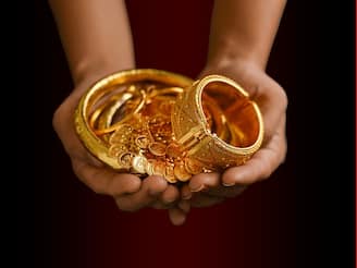 নয়ডার চুরি যাওয়া কোটি কোটি টাকার হিরে, সোনা-সহ বহুমূল্য গয়না উদ্ধার রাজ্য পুলিশের