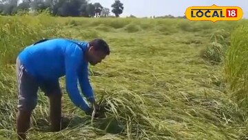 গোবিন্দভোগ