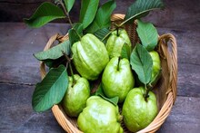 Guava: খোসা-সহ না কি খোসা ছাড়া, পেয়ারা কী ভাবে খেলে বেশি উপকার, জানাচ্ছেন পুষ্টিবিদ