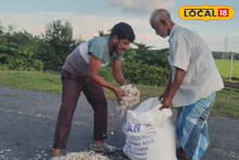 Alternative Earning Ideas: ফেলে দেওয়া জিনিসেই জীবিকার আলো! মাছের আঁশ-পাখনাতেই লক্ষীলাভ বারঘরিয়ায়