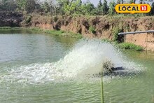 Ramsagar Fish Hatchery: বাঁকুড়ার রামসাগর যেন 'কেরল'! এই ছোট্ট গ্রাম থেকেই ডিম পোনা যায় দেশের প্রতিটি কোনায়