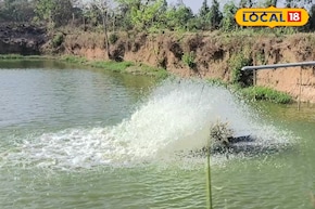 বাঁকুড়ার রামসাগর যেন 'কেরল'! এই ছোট্ট গ্রাম থেকেই ডিম পোনা যায় দেশের প্রতিটি কোনায়