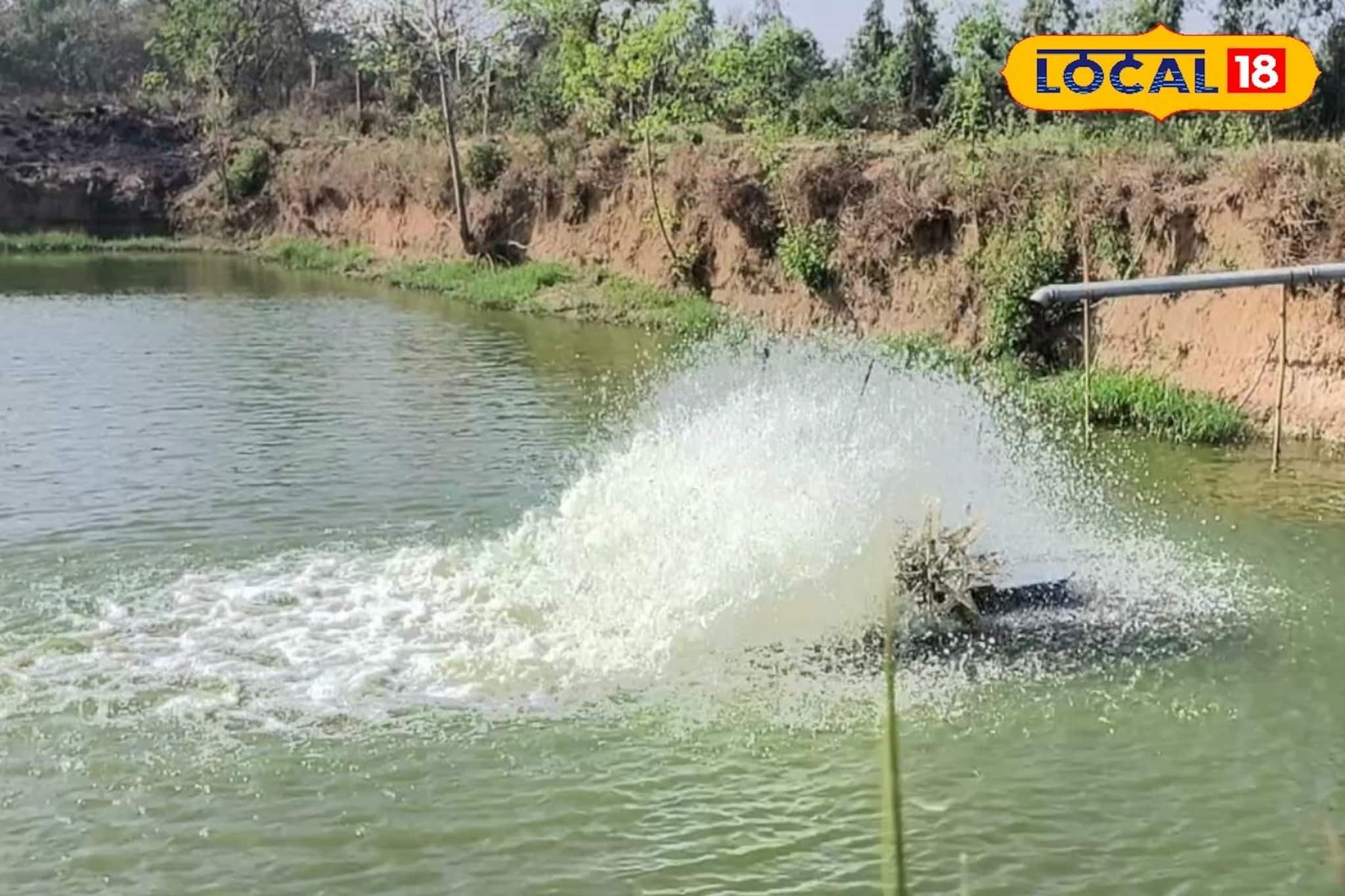 Ramsagar Fish Hatchery: বাঁকুড়ার রামসাগর যেন 'কেরল'! এই ছোট্ট গ্রাম থেকেই ডিম পোনা যায় দেশের প্রতিটি কোনায়