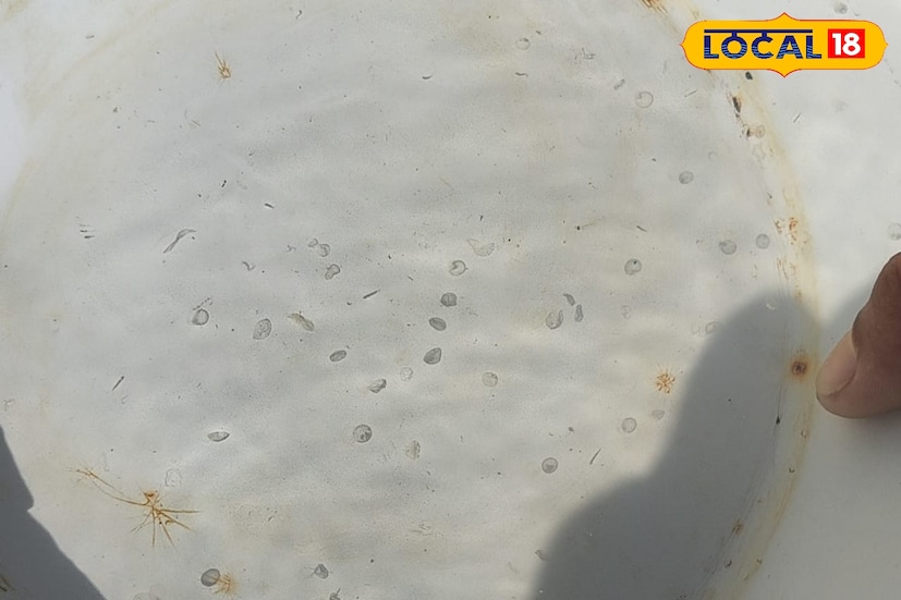 রুই,মৃগেল,কাতলা ইত্যাদি মাছের প্রাপ্তবয়স্ক পুরুষ এবং স্ত্রী মাছ পুকুরে রাখা হয়। সেই মাছকে আগাম জননের জন্য প্রস্তুত করা হয়। তারপর জালে করে মাছ ধরে নিয়ে এসে 