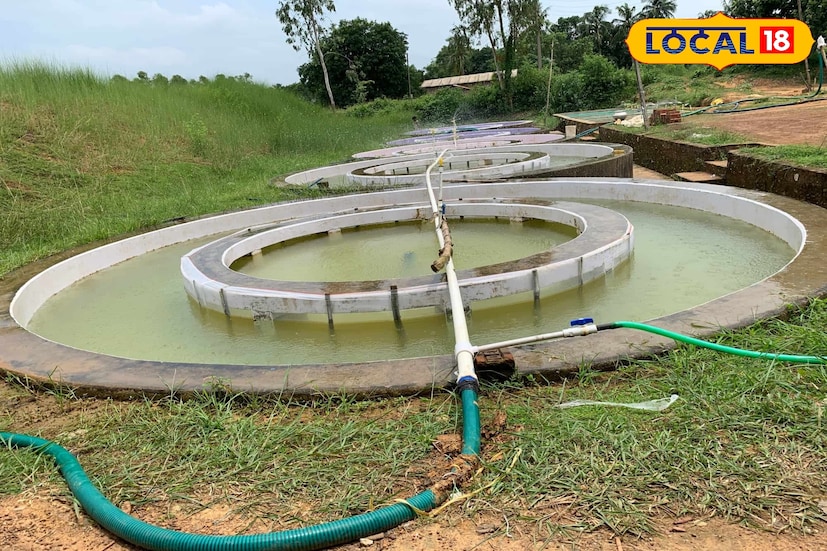 বিষ্ণুপুর যাওয়ার পথে যদি একটু হাতে সময় থাকে তাহলে ঘুরে দেখতে পারেন রামসাগর। জানতে পারবেন বাঁকুড়ার এক অন্যদিক। (ছবি ও তথ্য নীলাঞ্জন বন্দ্যোপাধ্যায়)