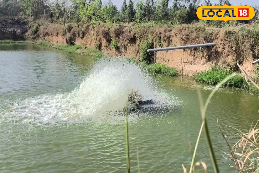 মাছের ডিম পোনা চাষের ঋতু ইতিমধ্যেই শুরু হয়ে গেছে। জানলে অবাক হবেন বাঁকুড়ার ডিমপোনা পৌঁছে যায় ভারতবর্ষের প্রতিটি কোনায়। এই ডিম পোনা পোঁছে গেছে আন্দামান নিকোবর পর্যন্ত। এমনকি ট্রেনে এবং প্লেনে করে পাঠানো হয় এই ডিম পোনা গুলি। 