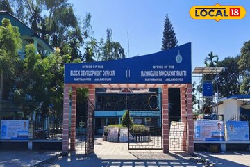 উত্তরবঙ্গের চাষিদের জীবন বদলাতে বিশেষ কলা চারাগাছ বিতরণ দফতরের